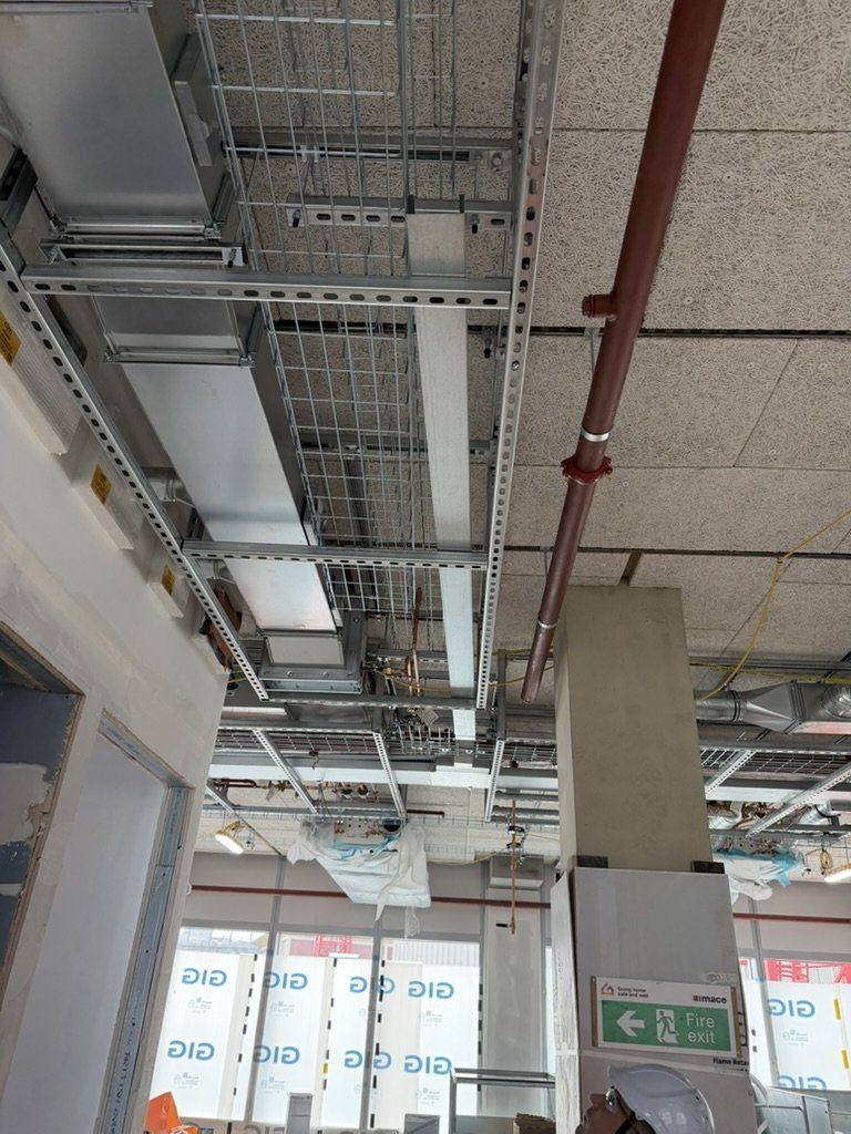 Basket tray and ladder at different levels