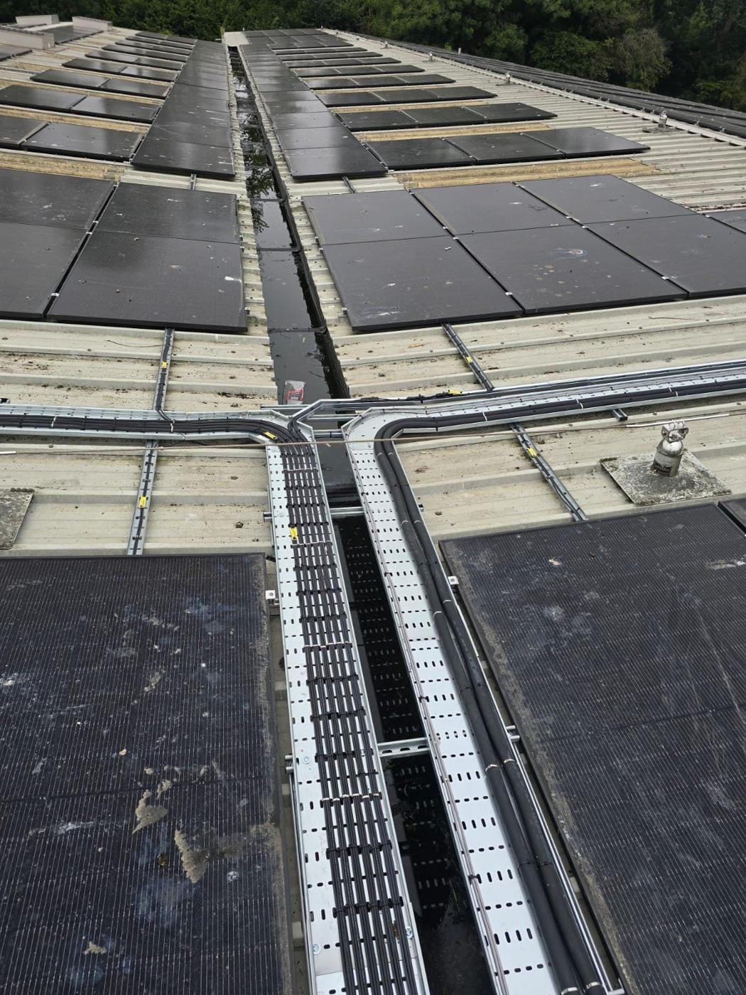 Cables laid in new tray