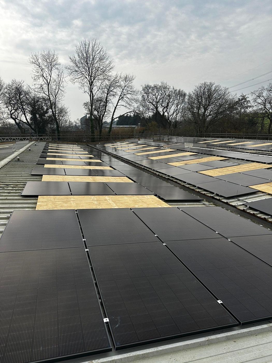 Rows of black solar panels on the profiled roof