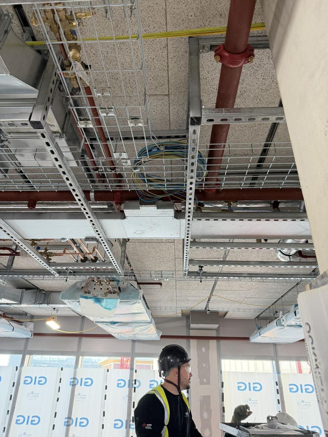 Multi-level tray, basket and ladder on strut frames in a bright open floor